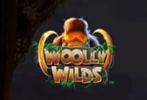 Image of the slot machine game Woolly Wilds provided by Saucify