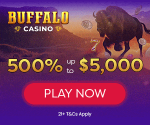 Illustrative Image For The Review Of The Online Casino Buffalo Casino Review