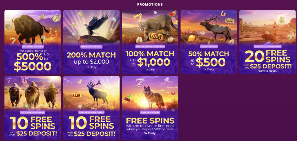 Buffalo Casino Promotions Page