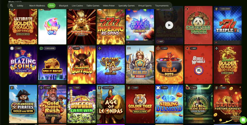 Wild Casino Slots Selection