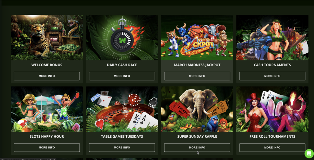 Wild Casino Promos