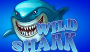 wild shark logo