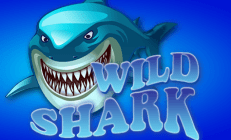wild shark logo