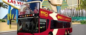 las vegas tours bus wallpaper featuring a bus