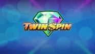 twin spin logo