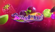 berryburst slot logo